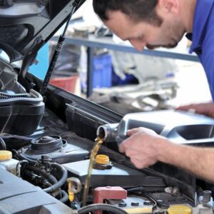 Image of p1 1 300x300