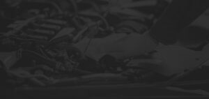Image of bg3 300x142